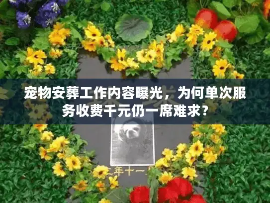 宠物安葬工作内容曝光,为何单次服务收费千元仍一席难求? 宠物安葬工作内容曝光,为何单次服务收费千元仍一席难求?