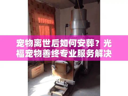 宠物离世后如何安葬？光福宠物善终专业服务解决方案