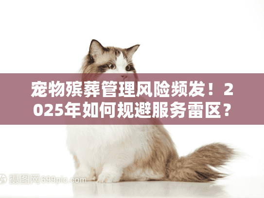 宠物殡葬管理风险频发！2025年如何规避服务雷区？