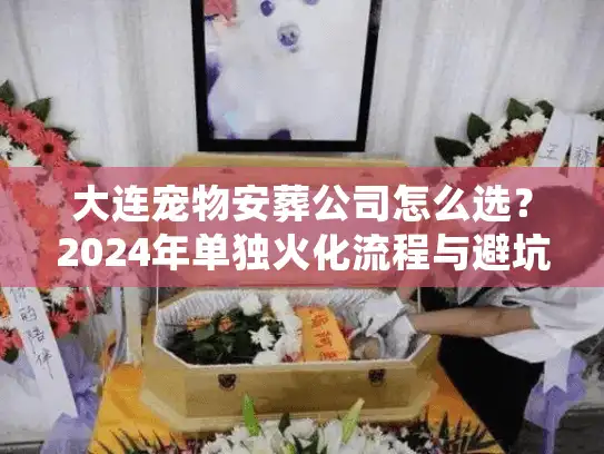 大连宠物安葬公司怎么选？2024年单独火化流程与避坑细节