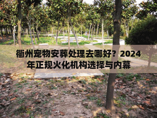 衢州宠物安葬处理去哪好？2024年正规火化机构选择与内幕