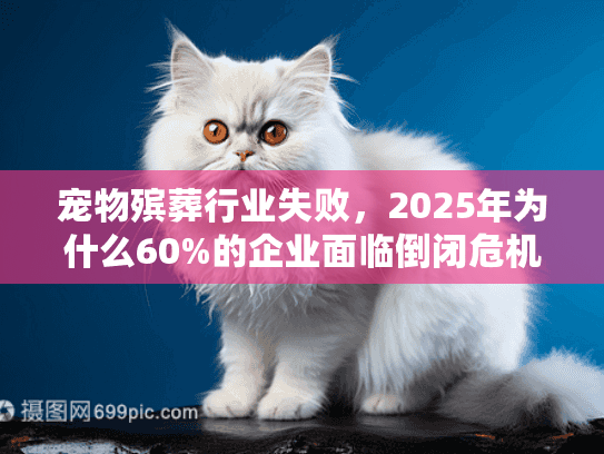宠物殡葬行业失败，2025年为什么60%的企业面临倒闭危机？