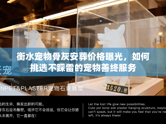 衡水宠物骨灰安葬价格曝光，如何挑选不踩雷的宠物善终服务