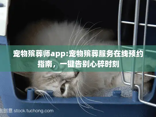 宠物殡葬师app:宠物殡葬服务在线预约指南，一键告别心碎时刻