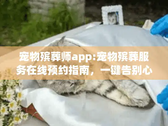 宠物殡葬师app:宠物殡葬服务在线预约指南，一键告别心碎时刻