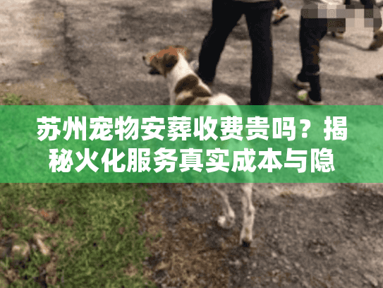 苏州宠物安葬收费贵吗？揭秘火化服务真实成本与隐形消费