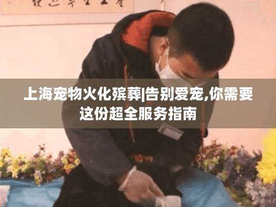 上海宠物火化殡葬|告别爱宠,你需要这份超全服务指南