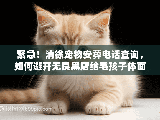 紧急！清徐宠物安葬电话查询，如何避开无良黑店给毛孩子体面？