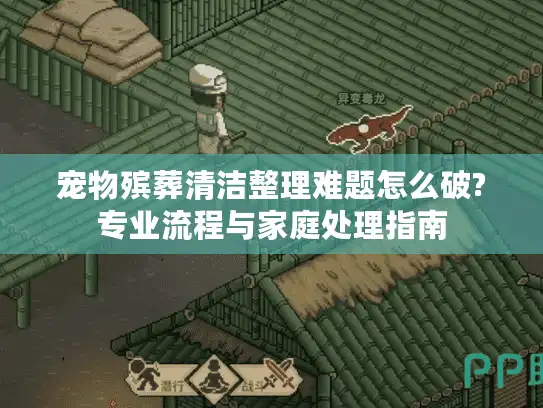 宠物殡葬清洁整理难题怎么破?专业流程与家庭处理指南