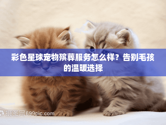 彩色星球宠物殡葬服务怎么样？告别毛孩的温暖选择