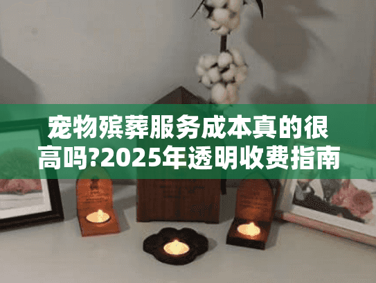 宠物殡葬服务成本真的很高吗?2025年透明收费指南