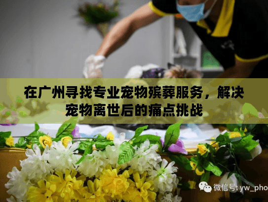 在广州寻找专业宠物殡葬服务，解决宠物离世后的痛点挑战