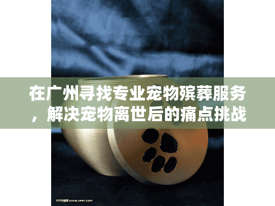 在广州寻找专业宠物殡葬服务，解决宠物离世后的痛点挑战