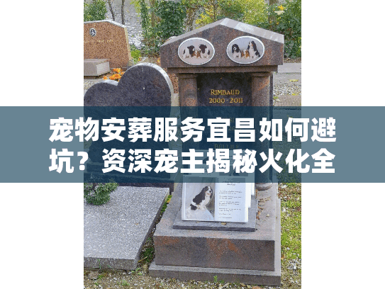 宠物安葬服务宜昌如何避坑？资深宠主揭秘火化全流程实录