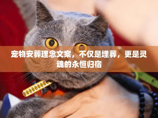 宠物安葬理念文案,不仅是埋葬,更是灵魂的永恒归宿 宠物安葬理念文案,不仅是埋葬,更是灵魂的永恒归宿
