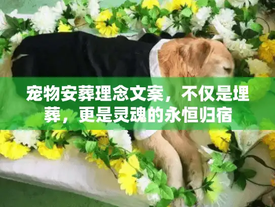 宠物安葬理念文案,不仅是埋葬,更是灵魂的永恒归宿 宠物安葬理念文案,不仅是埋葬,更是灵魂的永恒归宿