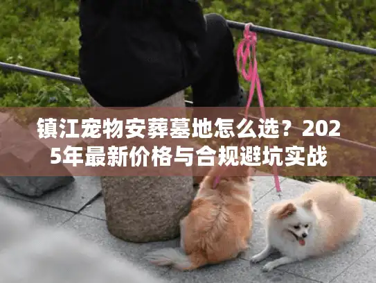 镇江宠物安葬墓地怎么选？2025年最新价格与合规避坑实战