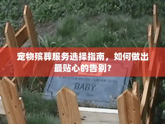 宠物殡葬服务选择指南，如何做出最贴心的告别？