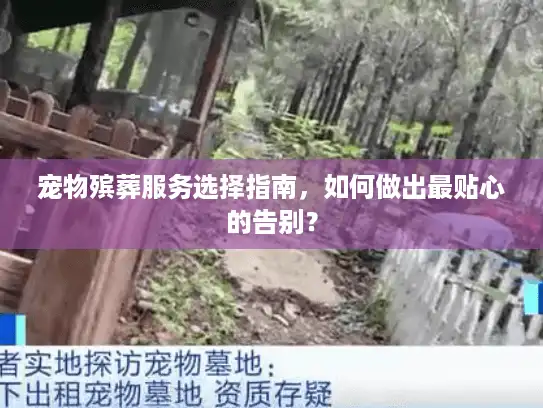 宠物殡葬服务选择指南，如何做出最贴心的告别？