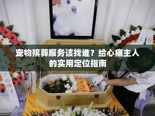 宠物殡葬服务该找谁？给心痛主人的实用定位指南