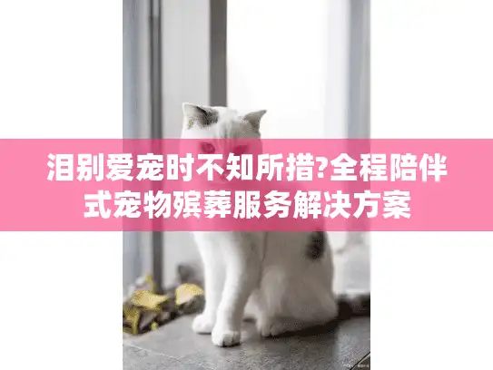 泪别爱宠时不知所措?全程陪伴式宠物殡葬服务解决方案