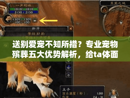 送别爱宠不知所措？专业宠物殡葬五大优势解析，给ta体面告别