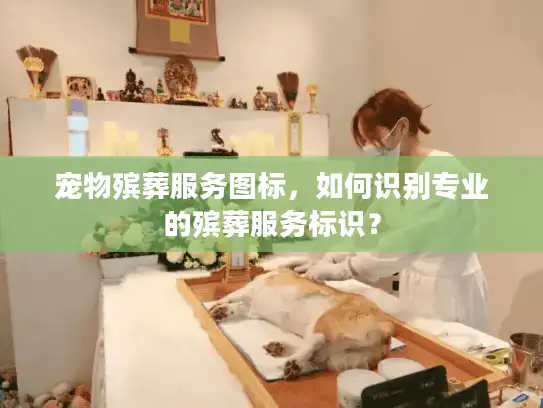 宠物殡葬服务图标,如何识别专业的殡葬服务标识? 宠物殡葬服务图标,如何识别专业的殡葬服务标识?