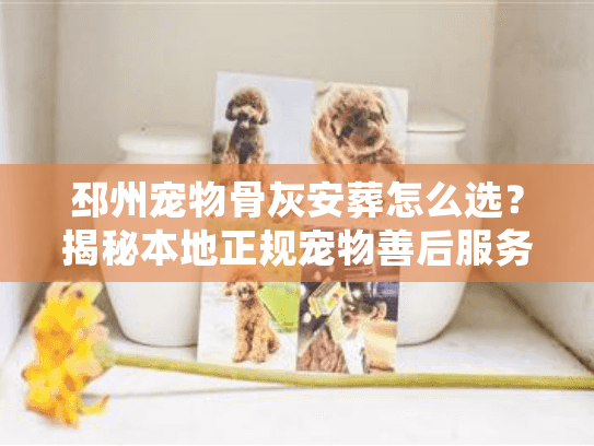 邳州宠物骨灰安葬怎么选？揭秘本地正规宠物善后服务的避坑细节