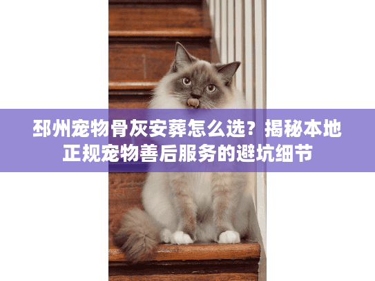 邳州宠物骨灰安葬怎么选？揭秘本地正规宠物善后服务的避坑细节
