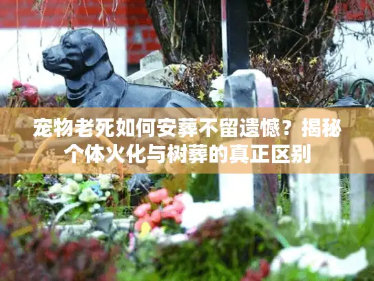 宠物老死如何安葬不留遗憾？揭秘个体火化与树葬的真正区别