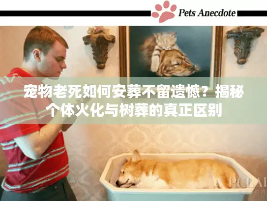 宠物老死如何安葬不留遗憾？揭秘个体火化与树葬的真正区别