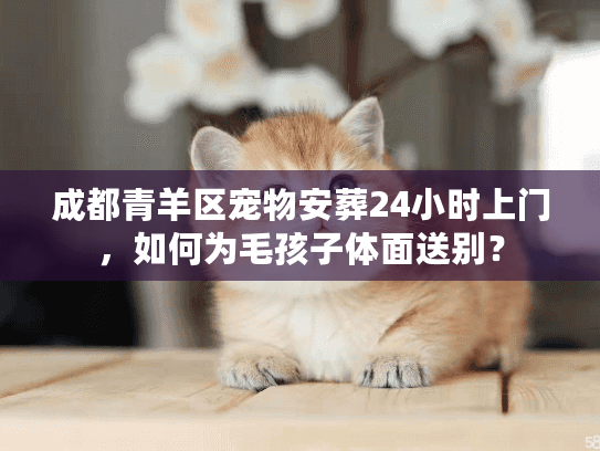 成都青羊区宠物安葬24小时上门,如何为毛孩子体面送别? 成都青羊区宠物安葬24小时上门,如何为毛孩子体面送别?