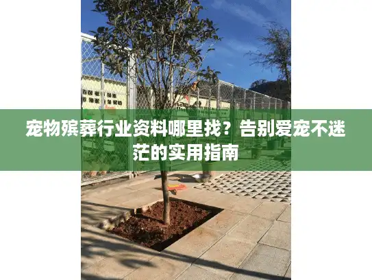 宠物殡葬行业资料哪里找?告别爱宠不迷茫的实用指南 宠物殡葬行业资料哪里找?告别爱宠不迷茫的实用指南