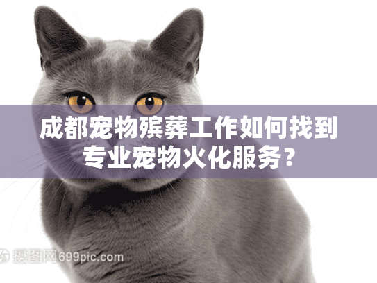 成都宠物殡葬工作如何找到专业宠物火化服务? 成都宠物殡葬工作如何找到专业宠物火化服务?