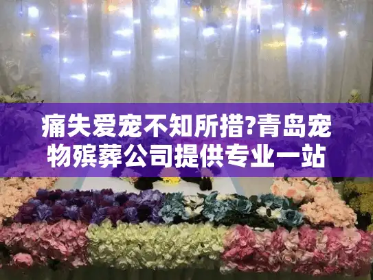 痛失爱宠不知所措?青岛宠物殡葬公司提供专业一站式服务 痛失爱宠不知所措?青岛宠物殡葬公司提供专业一站式服务