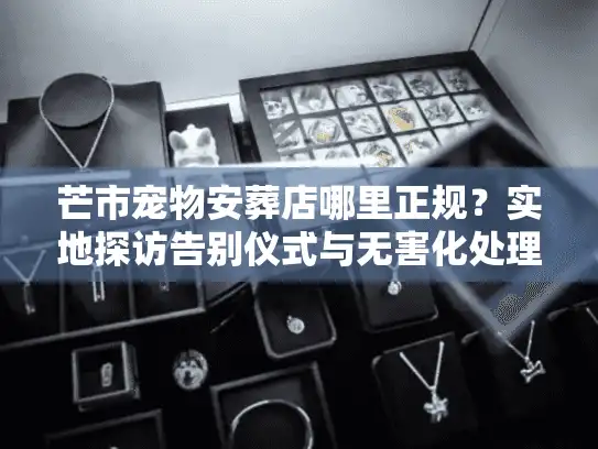 芒市宠物安葬店哪里正规?实地探访告别仪式与无害化处理流程 芒市宠物安葬店哪里正规?实地探访告别仪式与无害化处理流程
