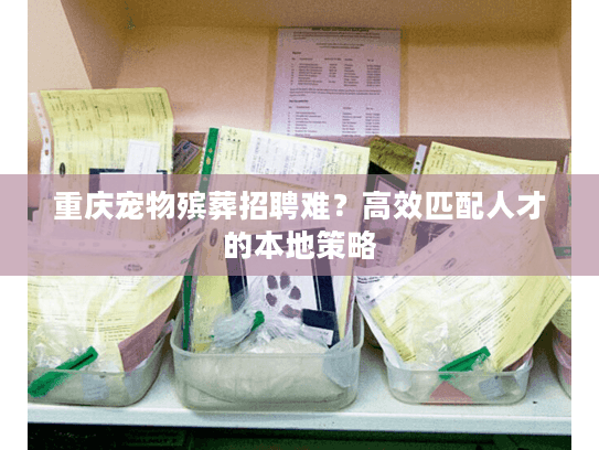 重庆宠物殡葬招聘难?高效匹配人才的本地策略 重庆宠物殡葬招聘难?高效匹配人才的本地策略