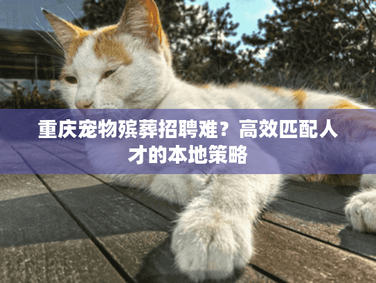 重庆宠物殡葬招聘难?高效匹配人才的本地策略 重庆宠物殡葬招聘难?高效匹配人才的本地策略