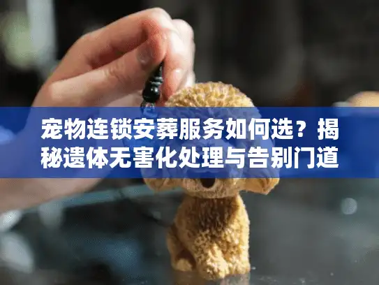 宠物连锁安葬服务如何选?揭秘遗体无害化处理与告别门道 宠物连锁安葬服务如何选?揭秘遗体无害化处理与告别门道