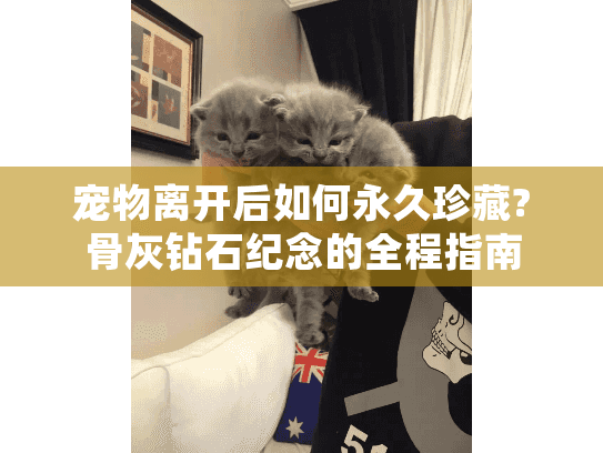宠物离开后如何永久珍藏?骨灰钻石纪念的全程指南