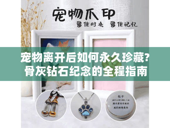 宠物离开后如何永久珍藏?骨灰钻石纪念的全程指南