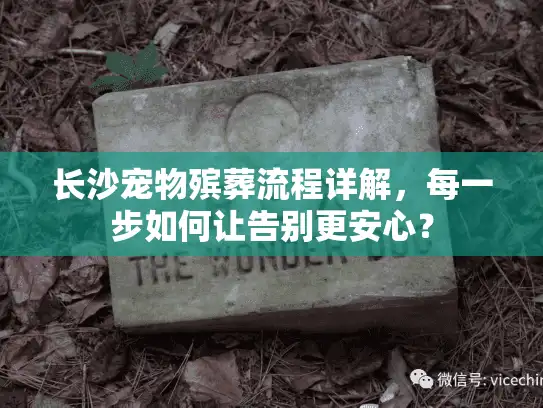 长沙宠物殡葬流程详解，每一步如何让告别更安心？