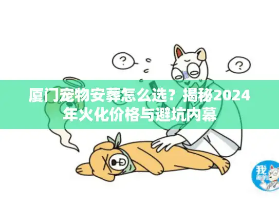 厦门宠物安葬怎么选？揭秘2024年火化价格与避坑内幕