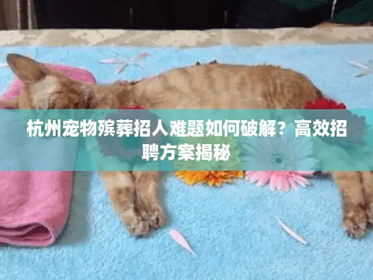 杭州宠物殡葬招人难题如何破解？高效招聘方案揭秘