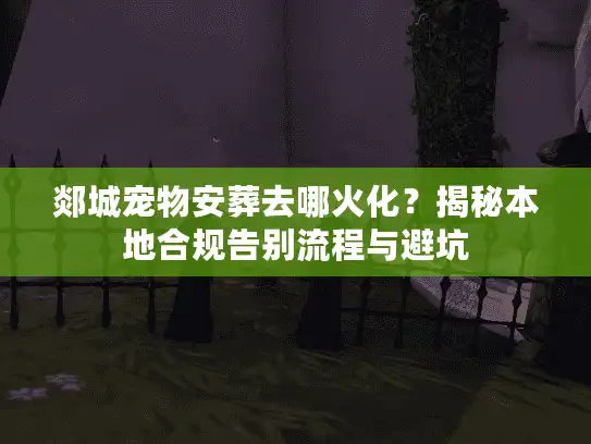 郯城宠物安葬去哪火化？揭秘本地合规告别流程与避坑