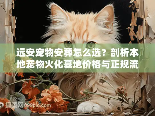 远安宠物安葬怎么选？剖析本地宠物火化墓地价格与正规流程
