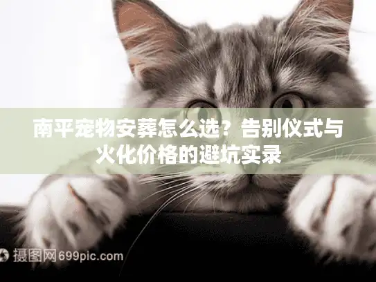 南平宠物安葬怎么选?告别仪式与火化价格的避坑实录 南平宠物安葬怎么选?告别仪式与火化价格的避坑实录