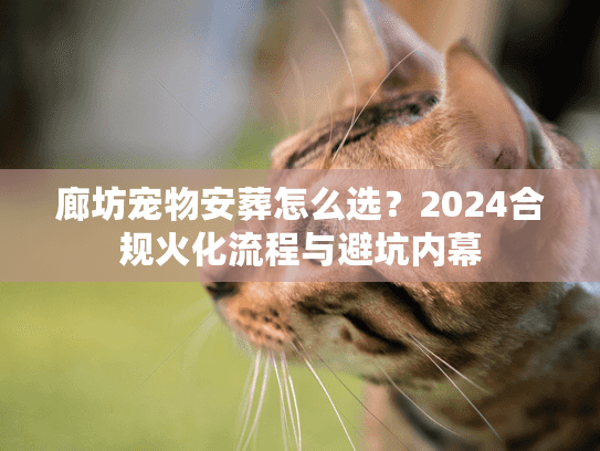 廊坊宠物安葬怎么选？2024合规火化流程与避坑内幕