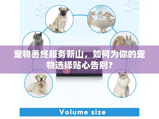 宠物善终服务新山，如何为你的宠物选择贴心告别？