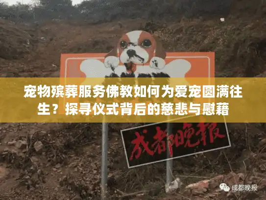 宠物殡葬服务佛教如何为爱宠圆满往生？探寻仪式背后的慈悲与慰藉
